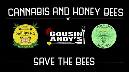 Naturally Infused Honey & The Effects of Cannabis on Bees