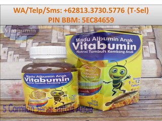 +62813.3730.5776 (T-Sel) Vitabumin Bayi