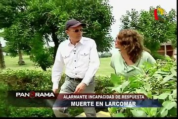 PANORAMA 20-11-2016 : Incendio en Larcomar - pánico y dolor en el centro comercial más visitado de Lima