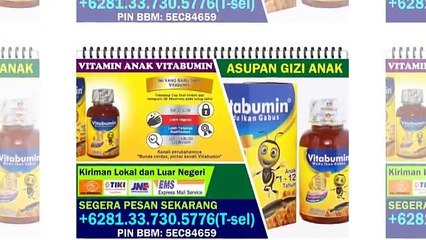 +6281 33 730 5776, Vitabumin Anak
