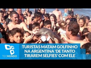 Turistas matam golfinho na Argentina 'de tanto tirarem selfies' com ele