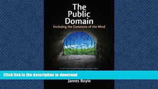 READ BOOK  The Public Domain: Enclosing the Commons of the Mind FULL ONLINE
