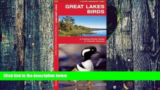 Buy NOW  Great Lakes Birds: A Folding Pocket Guide to Familiar Species (Pocket Naturalist Guide
