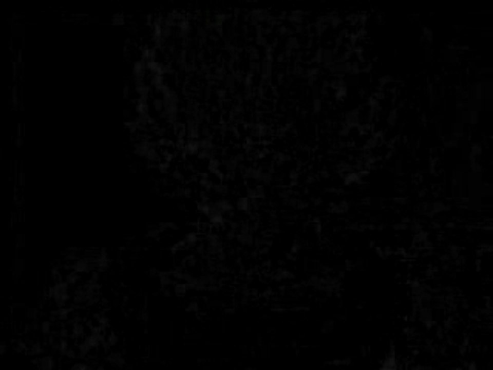 Amv dbz avc bou