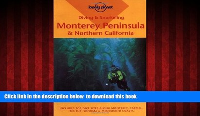 Best books  Diving and Snorkeling Monterey Peninsula and Northern California (Lonely Planet