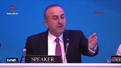 Türkiyə xarici işlər nazirinin Erməni millətvəkilini susduran cavabı