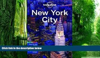 Buy  Lonely Planet New York City (Travel Guide) Lonely Planet  Book