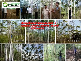 085.707.877.477 (Tsel) - Bisnis Jangka Panjang