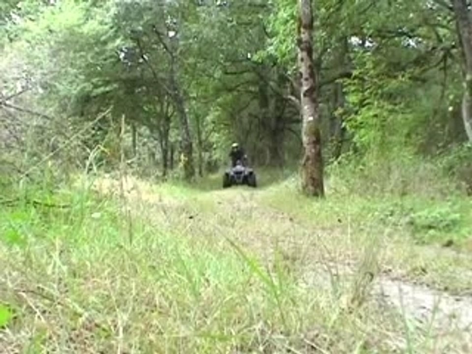 quad trail boss polaris