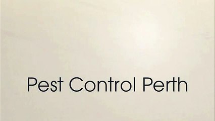 Pest control company