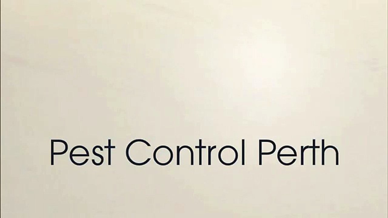 Pest control company