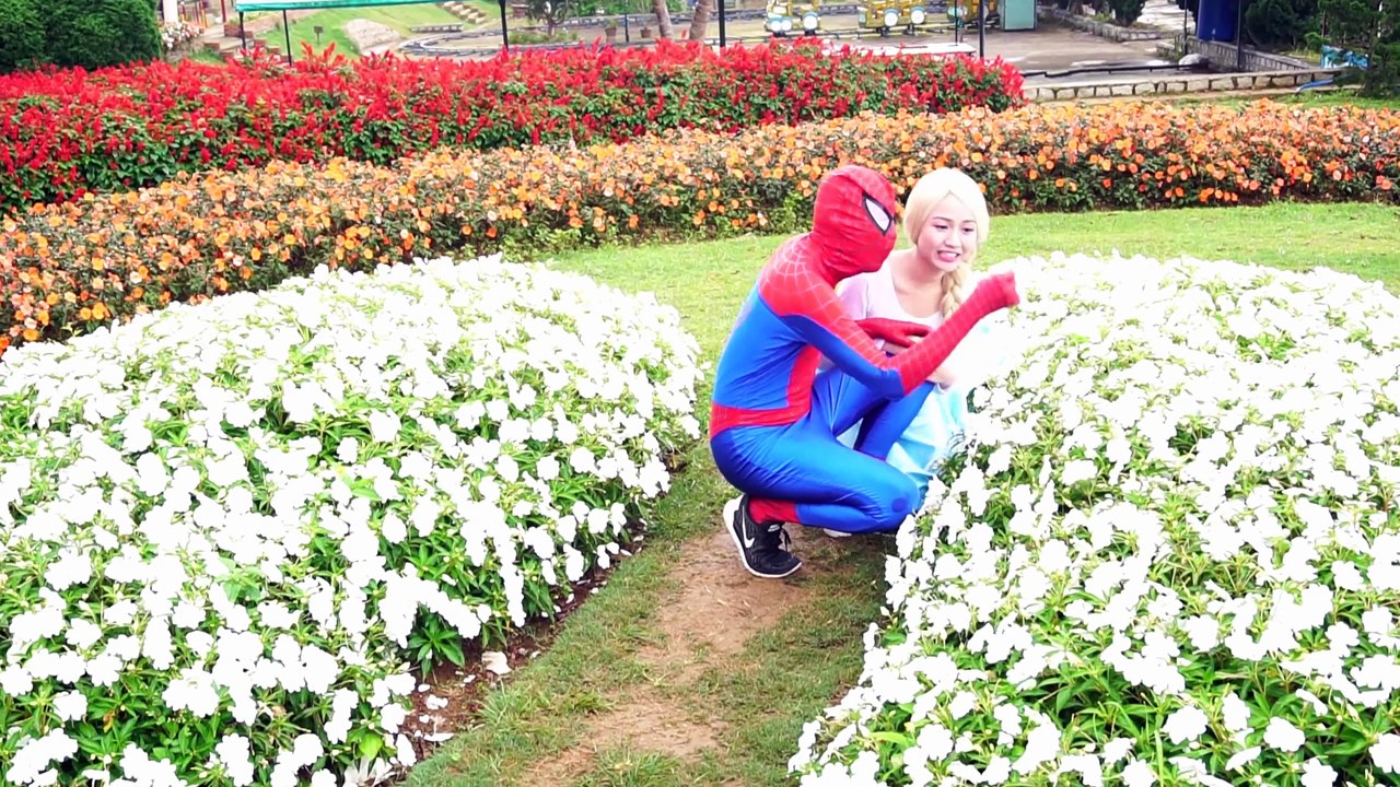 Spiderman Frozen Elsa Anna Prank in Pool vs Joker Harley Quinn Superman Hulk Superhero in real life