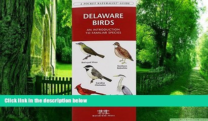 Buy  Delaware Birds: A Folding Pocket Guide to Familiar Species (Pocket Naturalist Guide Series)