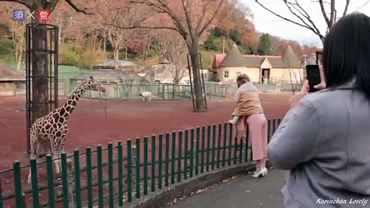 Berryz工房 DVD Magazine vol.41( 04 須藤茉麻×菅谷梨沙子 )