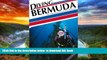 Read book  Diving Bermuda (Aqua Quest Diving) BOOOK ONLINE