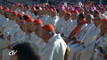 Papa concede la facultad de absolver el aborto