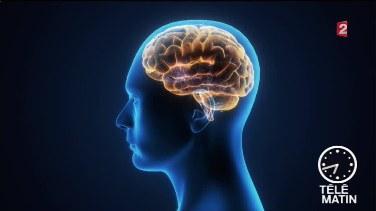 Santé - La douleur articulaire : dans le genou ou dans le cerveau ?