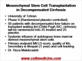 Mesenchymal Stem Cell Trials