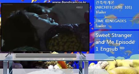 #토토솔루션제작 #스포츠토토사이트제작 #토토사이트임대제작 카톡:haricuty 스카이프:haricuty