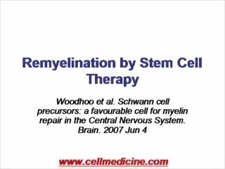Remyelination by Stem Cells