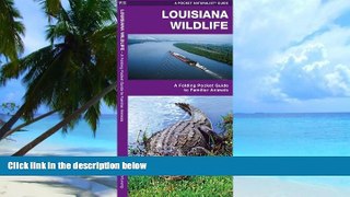 Buy  Louisiana Wildlife: A Folding Pocket Guide to Familiar Species (Pocket Naturalist Guide