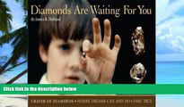 Buy NOW  Diamonds Are Waiting For You: Crater of Diamonds, Where Dreams Can And Do Come True James