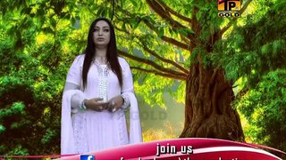 Afshan Zebi  Allah Hoo Punjabi Hits Songs