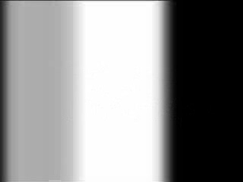 Tyra Banks Show - Tyra Falls