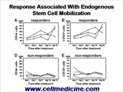 Stem Cell Therapy for Critical Limb Ischemia