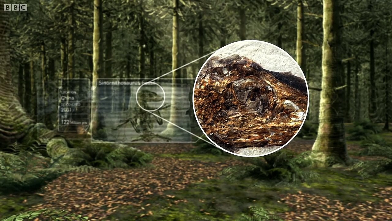 Sinornithosaurus- A poisonous bite - deadly day or night - Planet Dinosaur