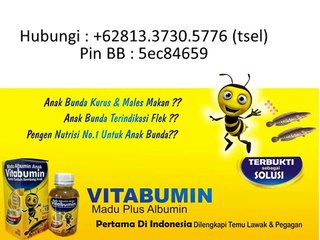 +62813.3730.5776 (T-Sel) vitabumin surabaya