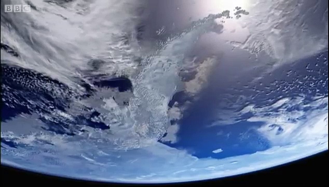 Whales hunting krill - Planet Earth