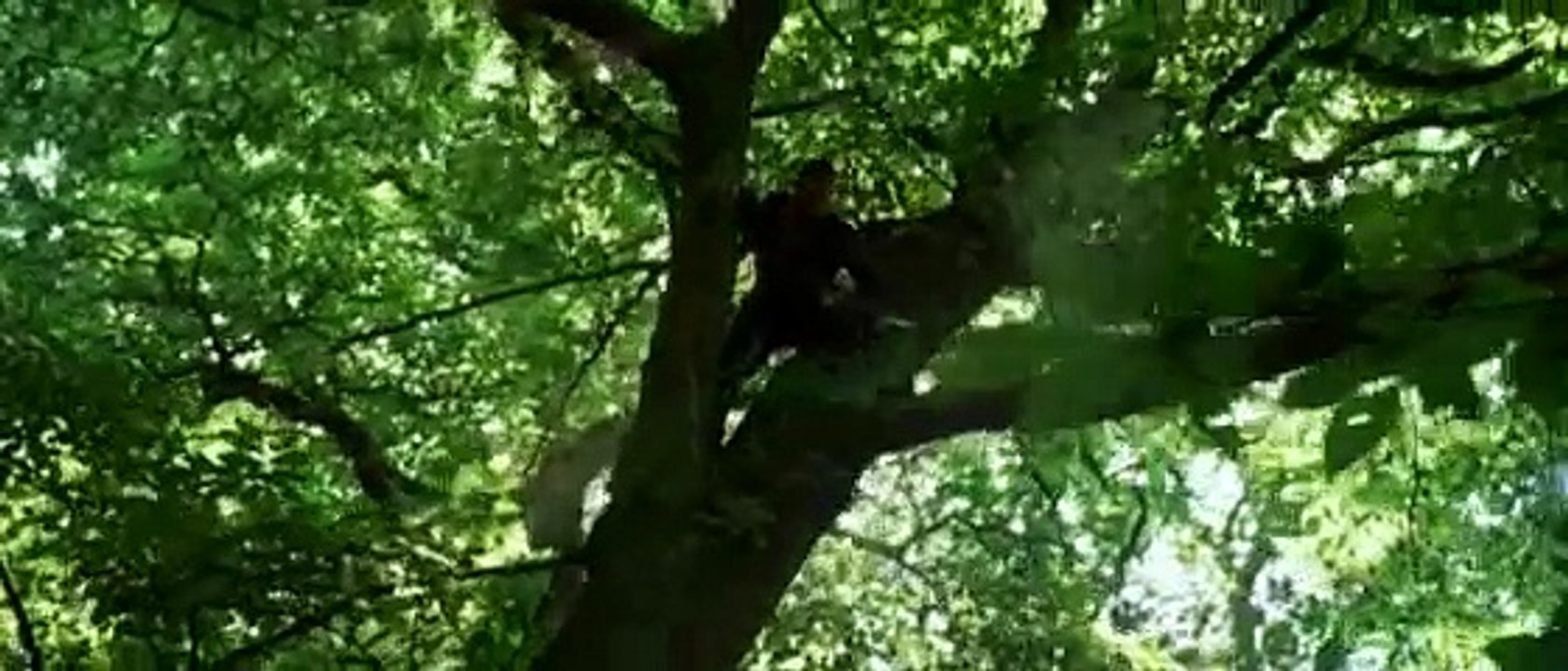 Bande annonce "Robin des bois" de Ridley Scott