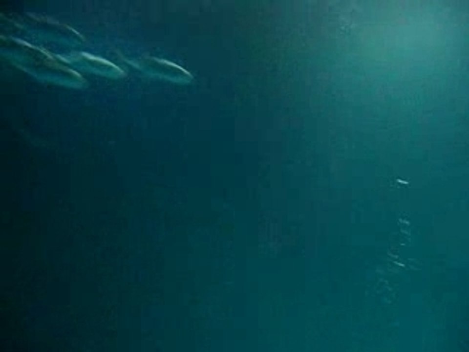 August 07