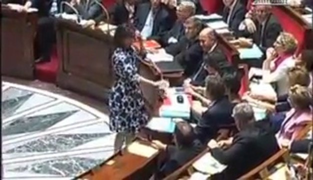Cécile Duflot sifflée à l'Assemblée