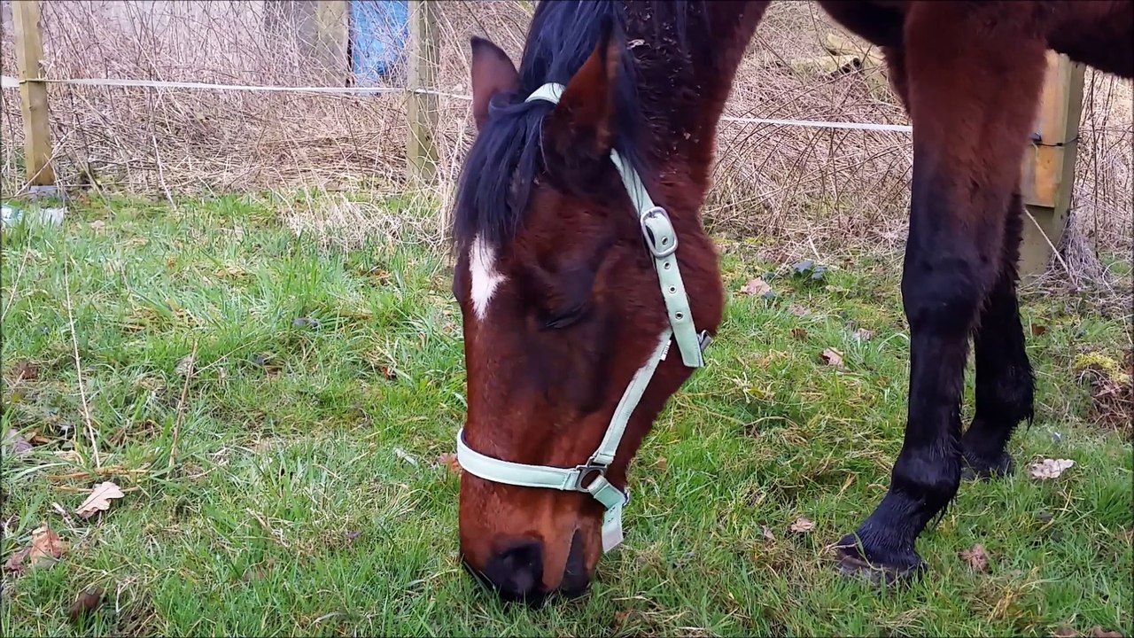 5 gemeinsame Jahre ♥