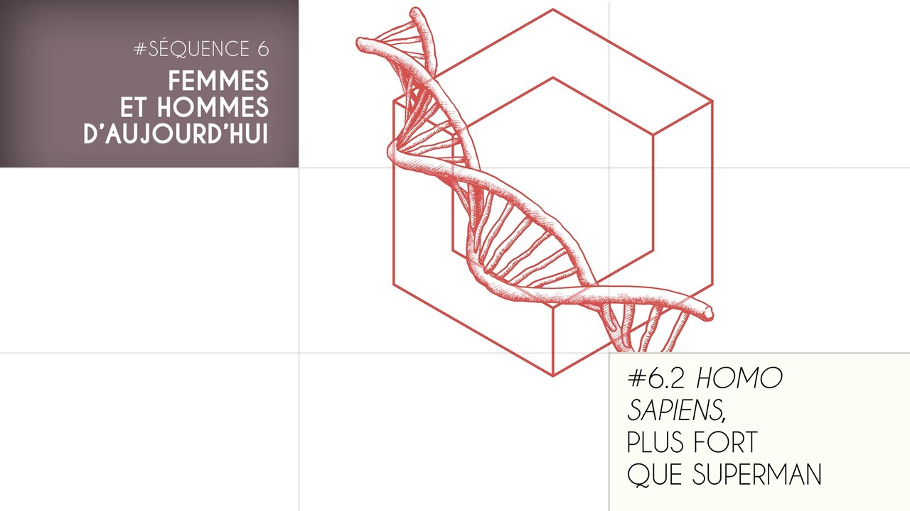 MOOC Les origines de l’Homme, Séquence 6.2. Homo sapiens, plus fort que Superman