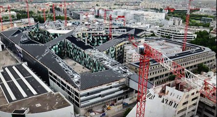 L’alvéole, la chrysalide, la carapace et l’architecte