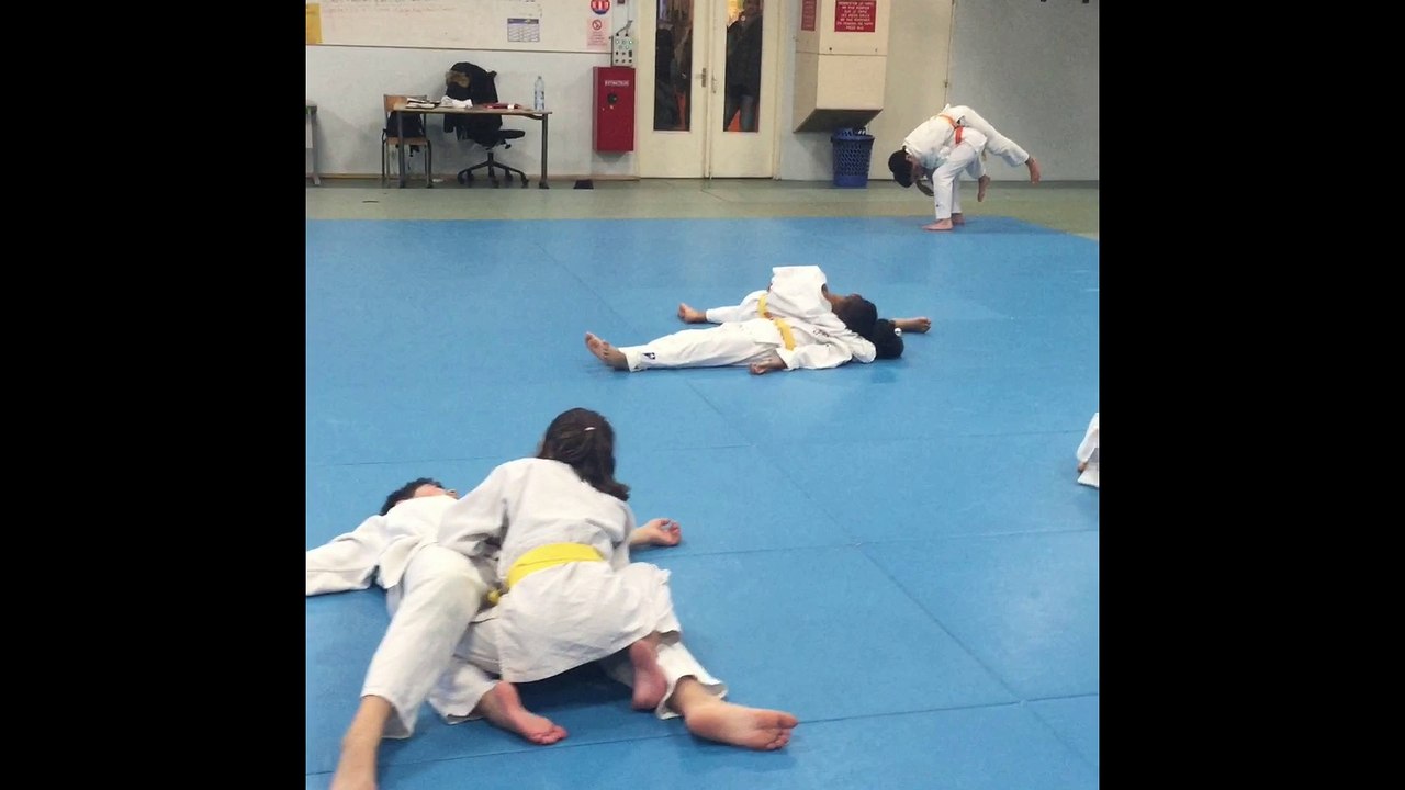 Mannequin Challenge Peugeot Mulhouse Judo 3e cours