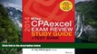 Big Sales  Wiley CPAexcel Exam Review 2014 Study Guide + Test Bank: Auditing and Attestation  READ