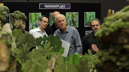 Parc Disney Animal Kingdom