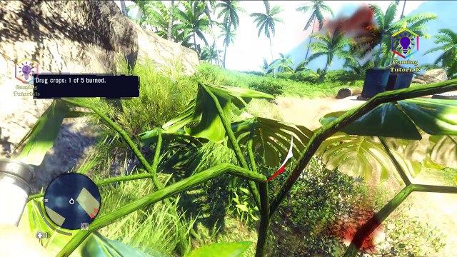 Far Cry 3 Gameplay Walkthrough Part 13 - Kick the Hornet's Nest - Mission 13 - (Burning the Marijuana Fields)