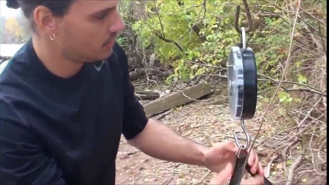 The carp that lives 100 years .. This seems to live 200 years! # 2