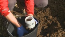 Erosion, pollution: prenons soin des sols, ils nous le rendent bien !