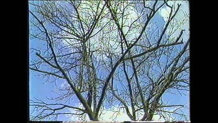 Braća Čabraje Petar i Drago   Pala tamna noć