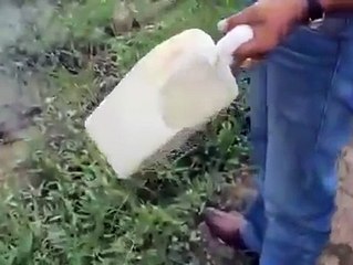 весело мужики кормят рыбу, прикольное видео, смешной ролик