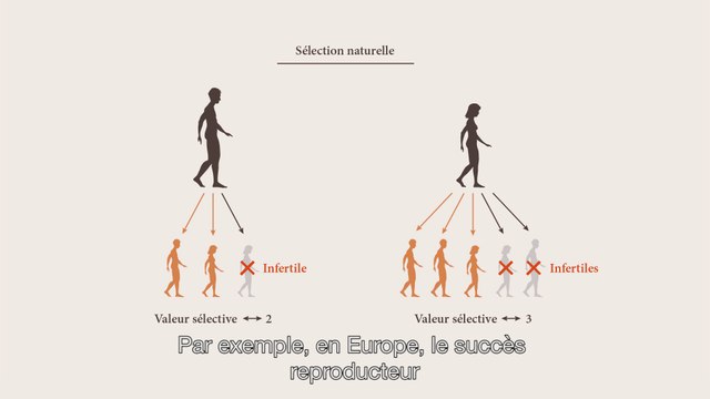 MOOC Les origines de l'Homme - Sujet 6.3 : Quand notre culture change notre ADN 2/2