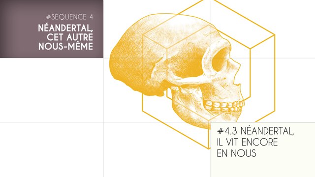 MOOC Les origines de l'Homme - Sujet 4.3 : Néandertal, il vit encore en nous