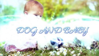 Baby Laughing at Labrador Dog because they are best friends - Dog loves Baby Compilation