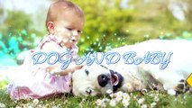 Baby Playing with St Bernard Dog A Beautiful friendship - Dog loves Baby Compilation